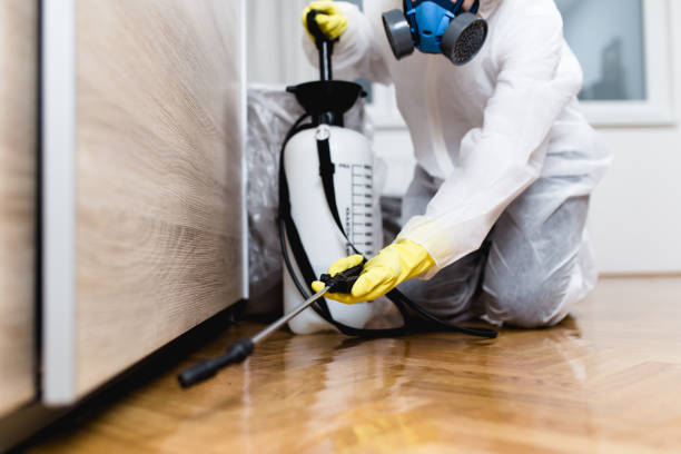 Best Wildlife Control Services  in Coppell, TX