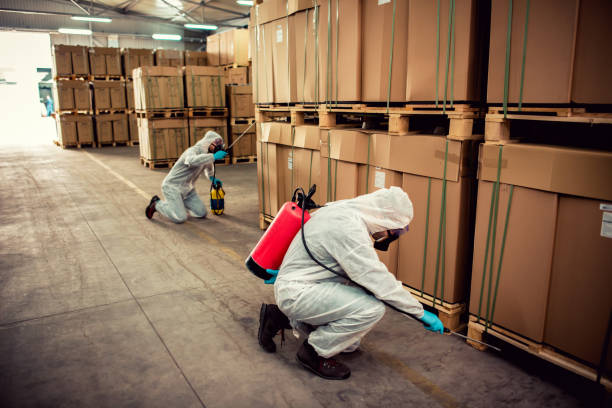 Best Wasp Removal Services  in Coppell, TX