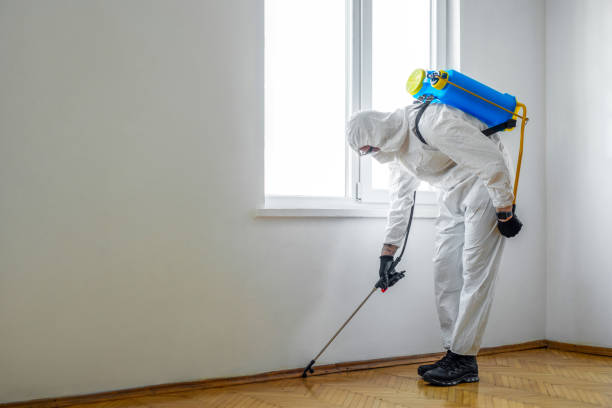 Professional Pest Control in Coppell, TX