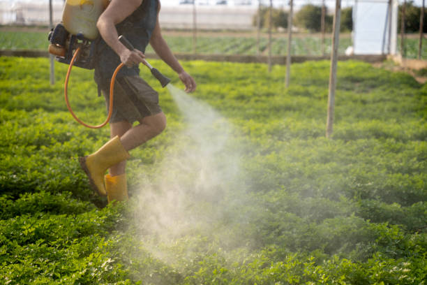 Best Local Pest Control Services  in Coppell, TX